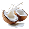 Coconut
