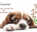 PetCare Advts